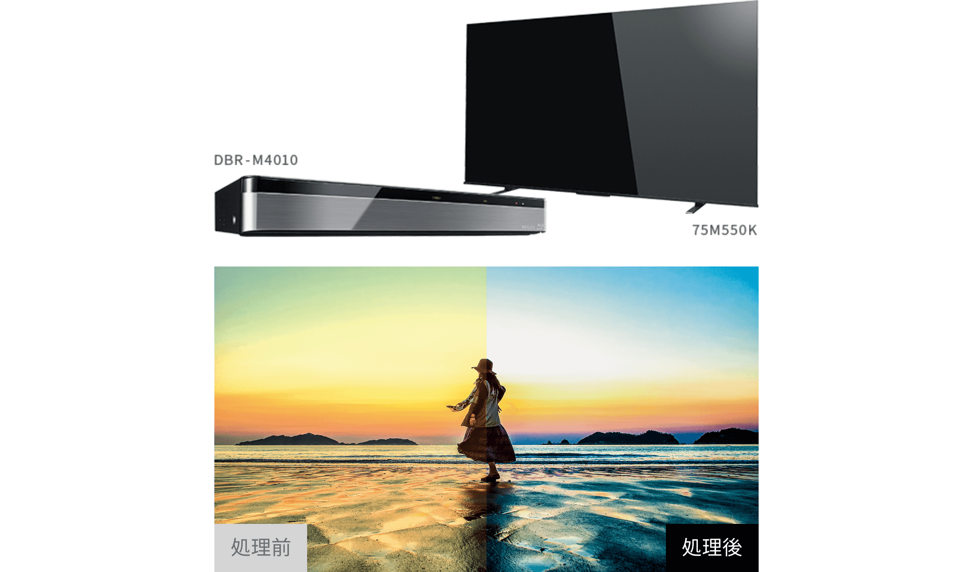 M550K 高画質｜REGZA<レグザ>TOSHIBA(東芝)